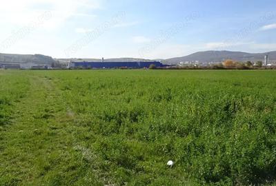 Teren de 43000 mp, în Central - 3