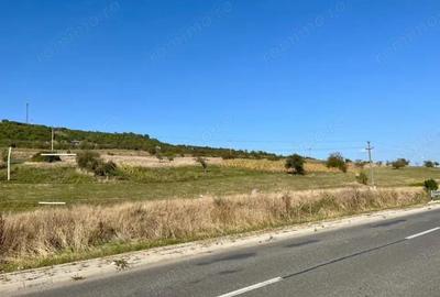 Teren de vanzare 11.400 mp, str. Podgorenilor, Dej - 4