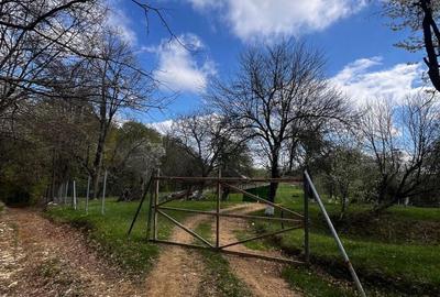 Casă cu 3 camere în Stăncilova - 7