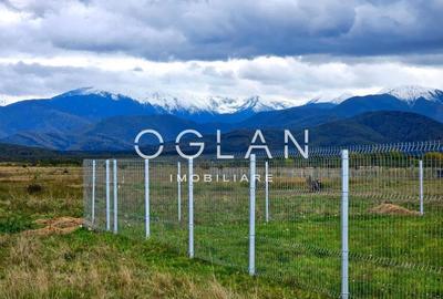 SUPER PRET! Teren 2400 mp Valea Avrigului SIBIU SUPER PRET! Teren 2400 mp Valea Avrigului SIBIU - 4