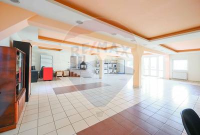 Spațiu industrial, de 1,407.1999511719 mp, în Vest - 4