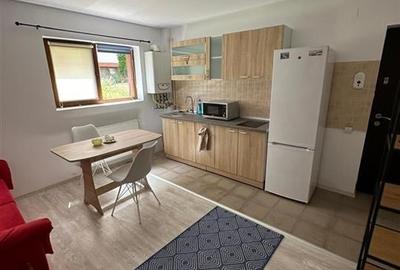 Apartament 2 camere de inchiriat, demisol, Calea Turzii - 2