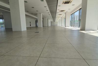 CLADIRE BIROURI - VANZARE - 6000 mp + lobby - 4