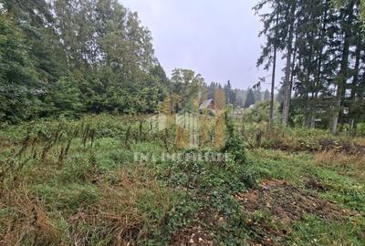 Teren intravilan cartier Noua Brasov - 3