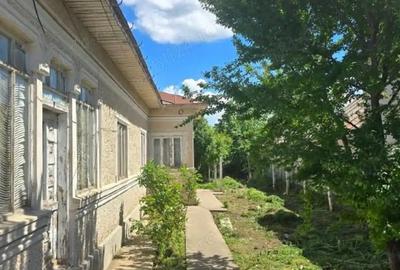 Casă în Băneasa - 5