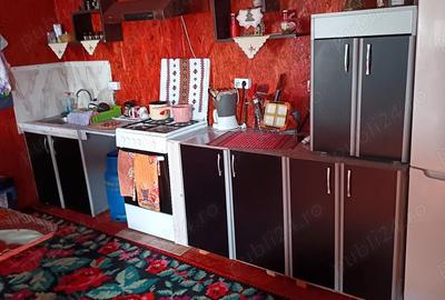 Vind cabana de vacanta in jud.Arges - 8