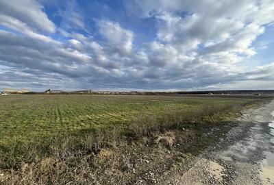 Teren de 11510 mp, în Cihei - 3