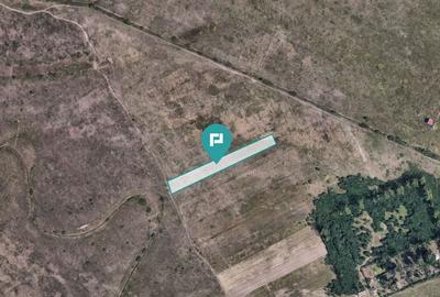 Teren de 10000 mp, în Moșnița Nouă