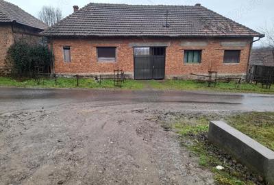 Casă cu Teren 1400 Mp în Feniș - 4