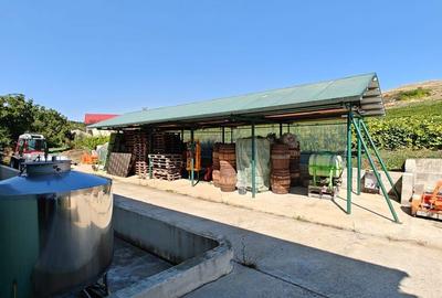 Spațiu comercial, în Cotnari - 3