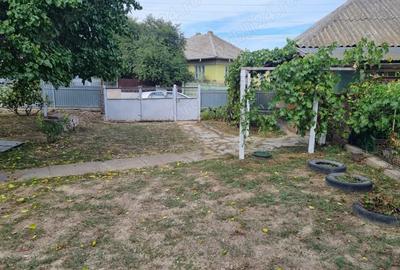 Vand schimb casa aproape de Dunare, muntii Macinului, zona viticola - 6