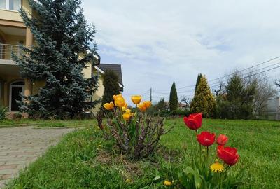 Casă individuală cu 7 camere cu Canalizare în Sângeorgiu de Mureș - 2