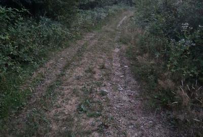 Teren în Central - 1