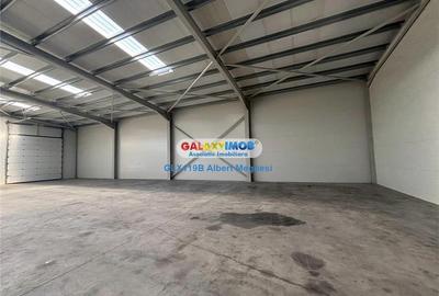 Inchiriere hala depozitare Parc Industrial TBM Rudeni Inchiriere hala depozitare Parc Industrial TBM Rudeni - 4