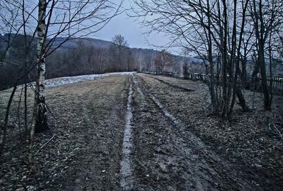 Spațiu comercial, în Șinca - 6