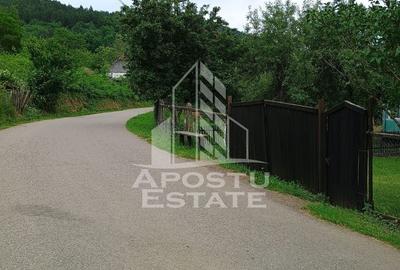 Casa bătrânească de vânzare | 4 camere | Hunedoara | Micănești - 11