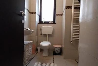 Apartament cu 2 camere semidecomandat, mobilat în Nicolae Grigorescu - 10