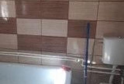 Casă cu 3 camere în Pădurețu - 5