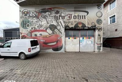 Spațiu comercial, de 250 mp, în Paltin - 6