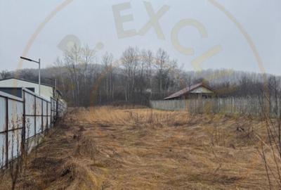 Teren 1758 mp DN7 - Prislopu Mare, Draganu! - 3