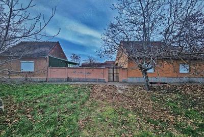 Casa de vanzare in Macea - 1