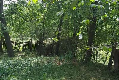 Spațiu comercial, în Podul Lung - 3