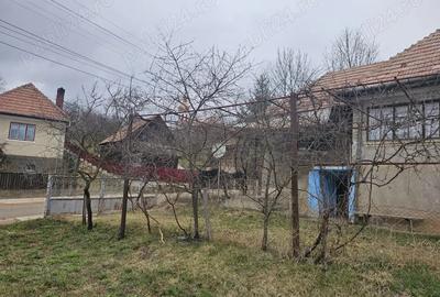 Casa de vanzare in Sat Sacel, Com. Baisoara - 4