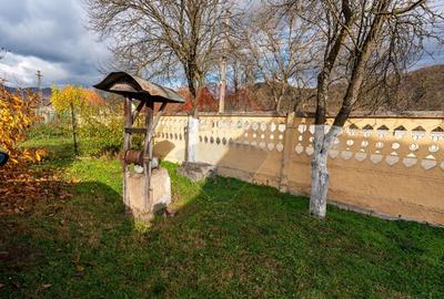 Casa de vanzare Certejul de sus,jud. Hunedoara - 21