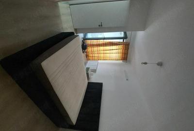 Apartament cu 2 camere decomandat în Viilor - 3