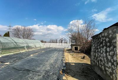 Casă cu Teren 1270 Mp în Transilvaniei - 13