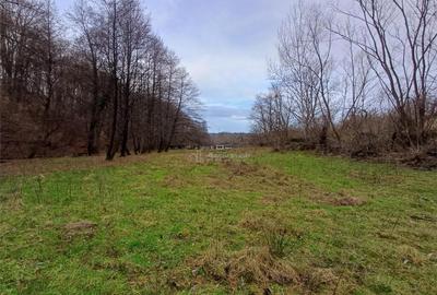 Resita, Teren Drept Intravilan, Langa Prau si Drum, Parcelab - 11