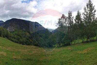 Comision 0 %/ Teren extravilan 13,570mp Pestera / Priveliste Manastire - 4