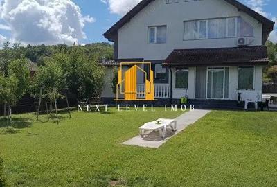 Vila superba BASCOV - Braileni - 1