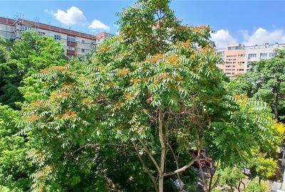 Apartament cu 3 camere semidecomandat în Vatra Luminoasă - 38