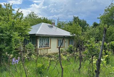 Casă cu 5 camere în Central - 9