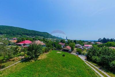 Vila de vanzare cu priveli?te superba Cicarlau - 10