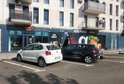 Spațiu comercial, de 100 mp, în Metalurgiei - 8