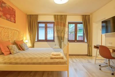 Casa cu 5 studiouri independente, terasa rooftop, vedere montana - 16