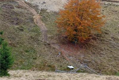 Teren de 2000 mp, în Curățele - 11