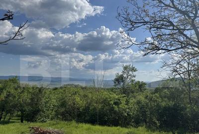 Teren intravilan de vanzare, 15080 mp, zona Tatara?ti - 13