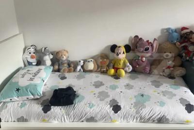 Casă cu 7 camere cu Teren 900 Mp în Central - 6