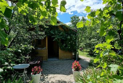 Casă cu 6 camere în Central - 5