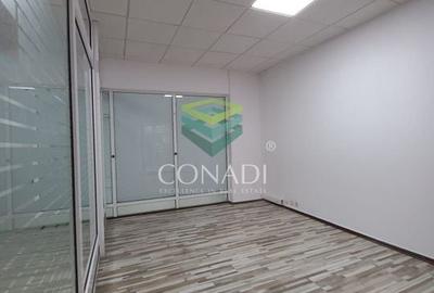 Birou de inchiriat // Domenii // Mihalache - 14