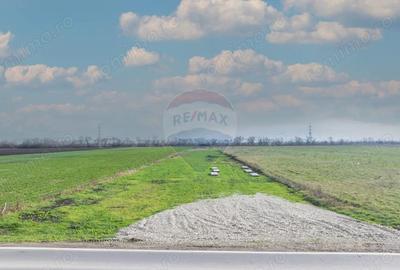 Teren intravilan de vanzare/ Codlea | 10.000mp/industrial - 7