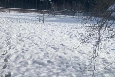 Casă cu 3 camere cu Teren 3450 Mp în Central - 10