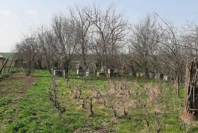 Casă cu 4 camere în Drăgănești-Vlașca - 2