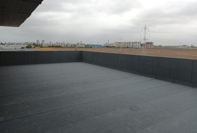 Penthouse: 133.4 mp Utili, Terasa de 113 mp - Sector 4 - 7