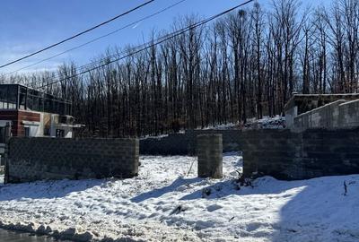 Spațiu comercial, în Trivale - 5