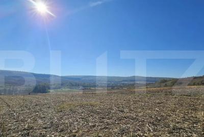 Teren de 17000 mp, în Almașu Mic