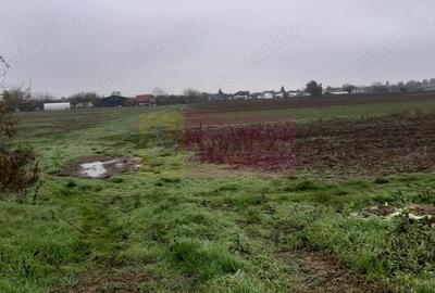 Teren Investi?ie aproape de Bucure?ti - 5